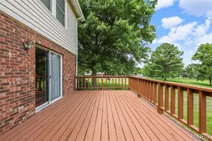 113 Sunnybrook Dr, Festus, MO 63028 - Photo 27