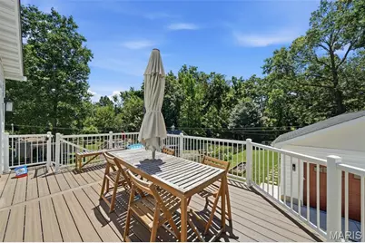 856 Fuhrmann Terrace, Kirkwood, MO 63122 - Photo 49