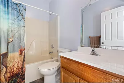 4 Hahn Estate Road, Winfield, MO 63389 - Photo 43