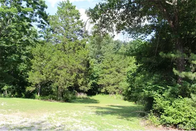 3877 Highway D, Defiance, MO 63341 - Photo 11
