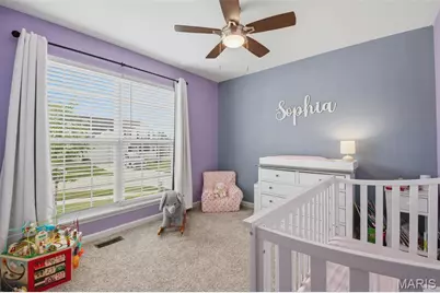 326 Dropseed Drive, Wentzville, MO 63385 - Photo 25