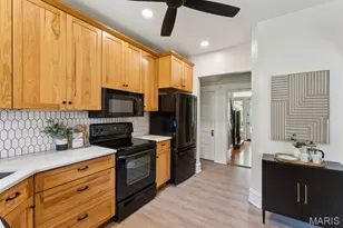 4142 Cleveland Ave, Saint Louis, MO 63110 - Photo 13