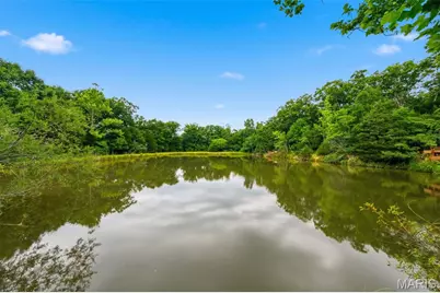 777 C White Heron Drive, Innsbrook, MO 63390 - Photo 7
