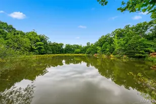 777C White Heron Dr, Innsbrook, MO 63390 - Photo 7