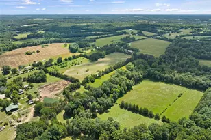 3951 Project Rd, Luebbering, MO 63061 - Photo 15