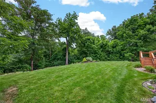320 Huntleigh Manor Dr, Saint Charles, MO 63303 - Photo 57