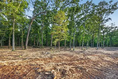 004 M- Cantrell, Winfield, MO 65704 - Photo 5