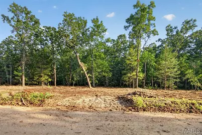 004 M- Cantrell, Winfield, MO 65704 - Photo 3