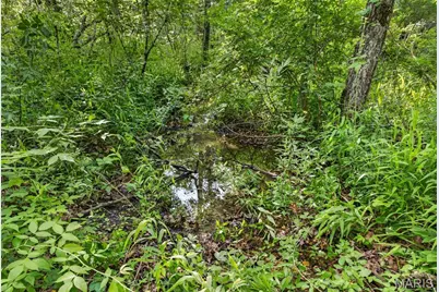 005 M- Cantrell Road, Winfield, MO 65704 - Photo 7