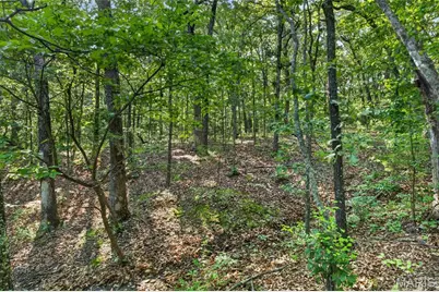 006 M- Cantrell Road, Winfield, MO 65704 - Photo 23