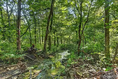 006 M- Cantrell Road, Winfield, MO 65704 - Photo 27