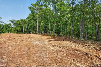 006 M- Cantrell Road, Winfield, MO 65704 - Photo 7