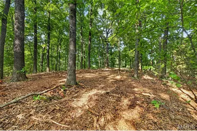 006 M- Cantrell Road, Winfield, MO 65704 - Photo 17