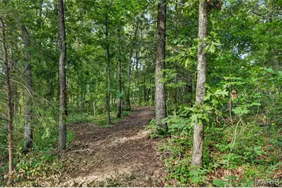 006 M- Cantrell Road, Winfield, MO 65704 - Photo 13