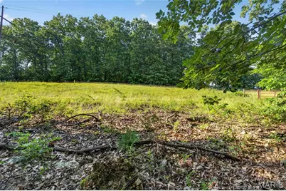 006 M- Cantrell Road, Winfield, MO 65704 - Photo 19