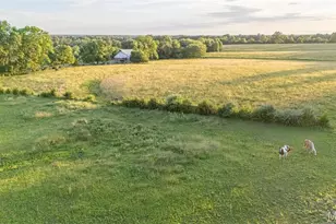 16759 Route E, Perry, MO 63462 - Photo 11