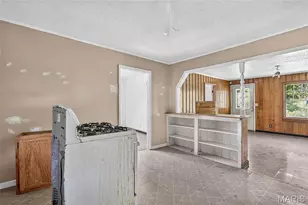 1901 & 1911 Howell Rd, Unincorporated, MO 63637 - Photo 45