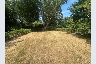 6343 Lena Avenue, Saint Louis, MO 63136 - Photo 13
