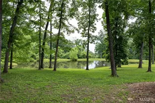 6889 Hwy F, Farmington, MO 63640 - Photo 89