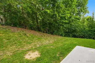 29 Great Owls Way, Winfield, MO 63389 - Photo 37