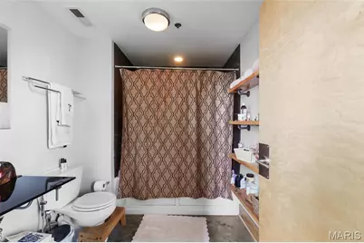 2201 Locust Street #410, Saint Louis, MO 63103 - Photo 15