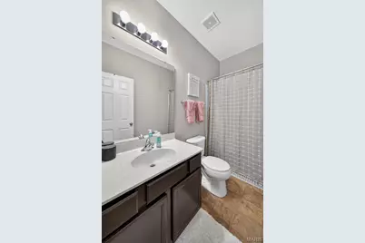 248 Thorn Brook Drive, O'Fallon, MO 63366 - Photo 29