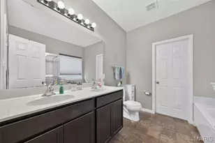 248 Thorn Brook Dr, O'Fallon, MO 63366 - Photo 19