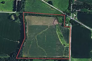 000 N Cappel Rd, Moscow Mills, MO 63362 - Photo 1