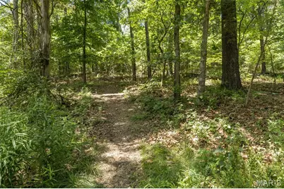 3649 Roads End Acres Road, Imperial, MO 63052 - Photo 13