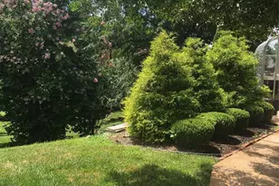 330 Morristown Ct, Chesterfield, MO 63017 - Photo 3