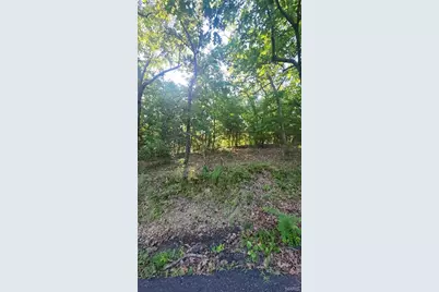 Lot 14 E Forest Lane, Robertsville, MO 65066 - Photo 1