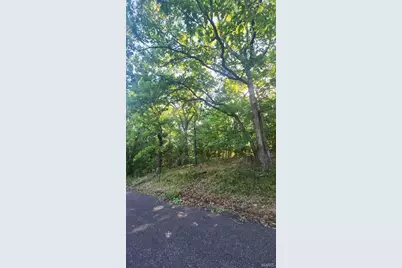 Lot 14 E Forest Lane, Robertsville, MO 65066 - Photo 5