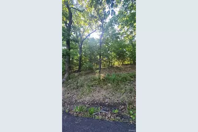 Lot 14 E Forest Lane, Robertsville, MO 65066 - Photo 3