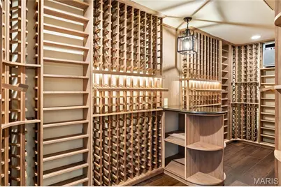 34 Somerset Downs Drive, Ladue, MO 63124 - Photo 61
