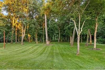 34 Somerset Downs Drive, Ladue, MO 63124 - Photo 21