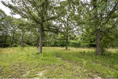 4644 Eaton Avenue, Richland, MO 65556 - Photo 41
