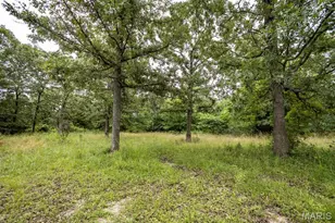 4644 Eaton Ave, Richland, MO 65556 - Photo 41