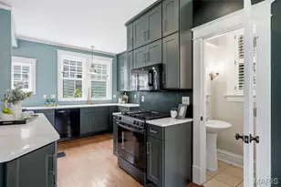 125 S Elm Ave, Saint Louis, MO 63119 - Photo 21