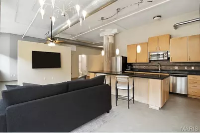 1627 Locust Street #202, Saint Louis, MO 63103 - Photo 15