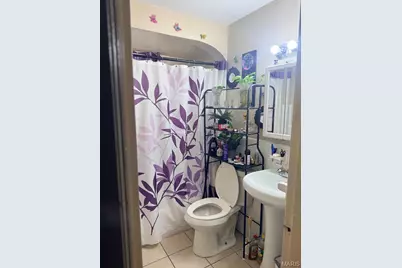7025 Lena Avenue, Saint Louis, MO 63136 - Photo 9