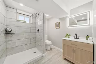 4939 Lisette Ave, Saint Louis, MO 63109 - Photo 33