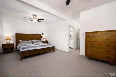 4036 Shaw Boulevard, Saint Louis, MO 63110 - Photo 33