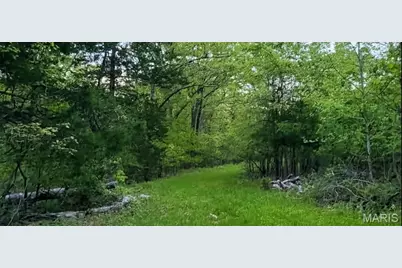 8578 Lizard Lane, Dittmer, MO 63023 - Photo 43