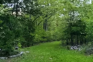 8578 Lizard Ln, Dittmer, MO 63023 - Photo 43