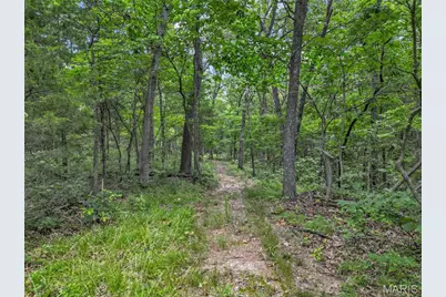 1824 Morre Road, Robertsville, MO 65066 - Photo 67