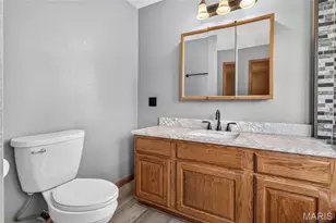 304 Rosebud St, Desloge, MO 63601 - Photo 21