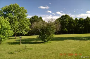 4350 Silver Springs Rd, De Soto, MO 63628 - Photo 11