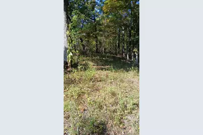 2173 Big River Trail, De Soto, MO 63020 - Photo 9