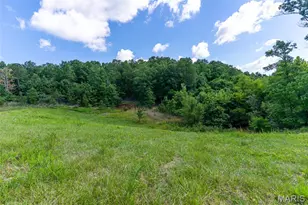 10450 Ok Rd, Bonne Terre, MO 63628 - Photo 83