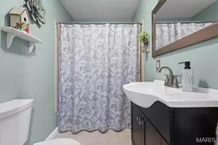 4156 Virginia Dr, House Springs, MO 63051 - Photo 29